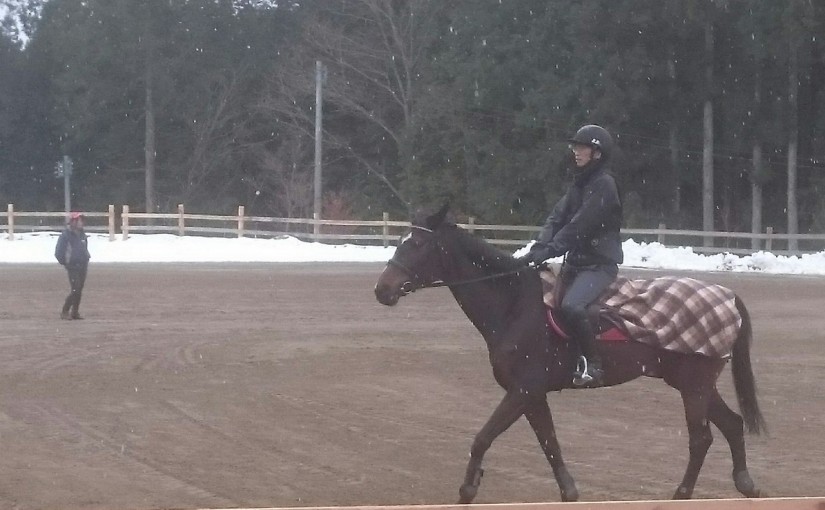 乗馬クラブで　自馬レッスン　（豊田市/H様）