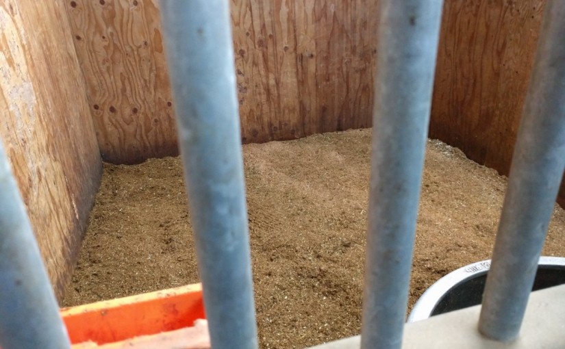乗馬クラブの馬房掃除