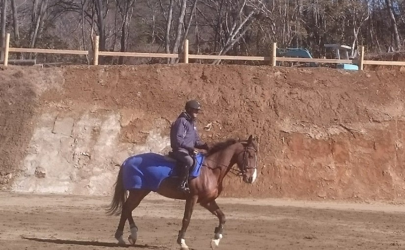 豊田市の乗馬クラブで　自馬トレーニング（オーナー 豊田市/M様）