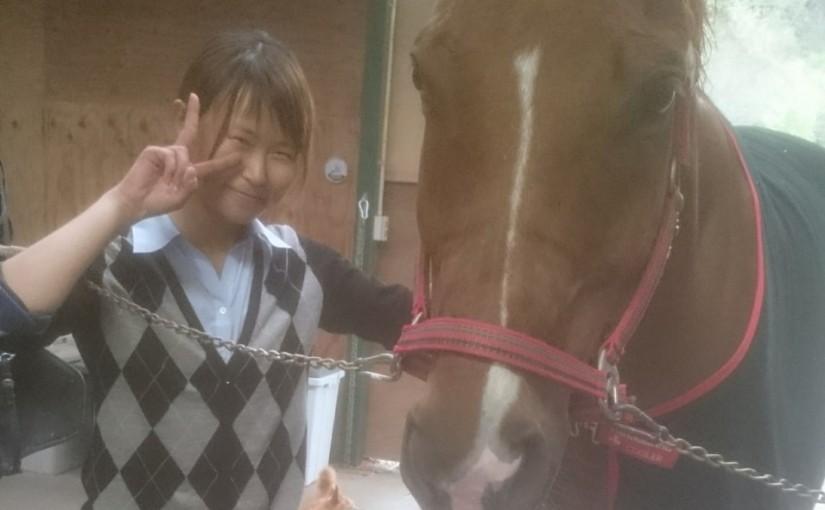 新東名高速で静岡方面からも近くなった乗馬クラブ　エルミオーレ三河高原