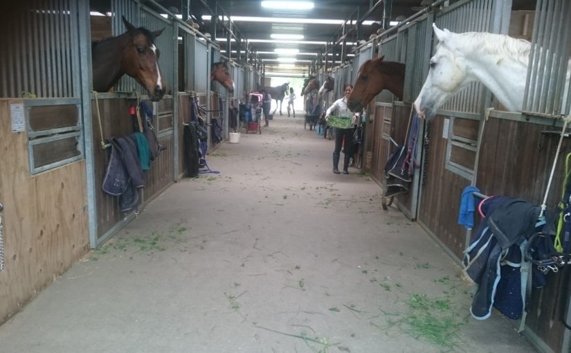 新東名高速道路で静岡方面からも近くなった乗馬クラブ　エルミオーレ三河高原