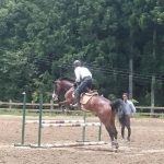 三河の乗馬の日々☆彡　レッスン！！
