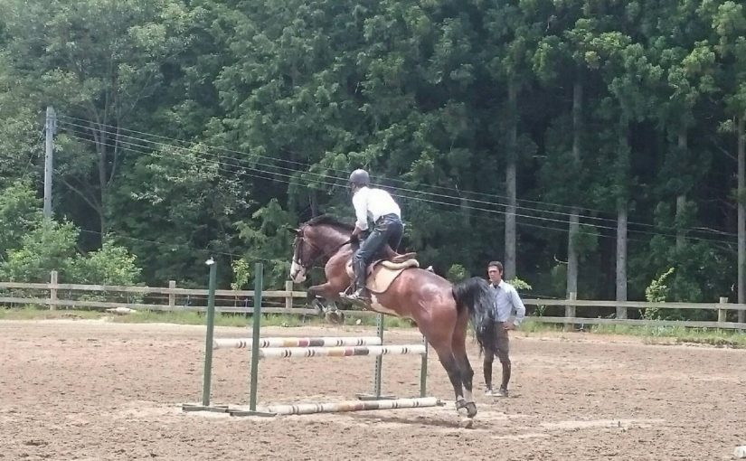 三河の乗馬の日々☆彡　レッスン！！