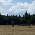 三河の乗馬クラブ　ハエ取り器