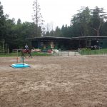 三河高原の日々☆彡　駈歩の歩度伸ばし！！